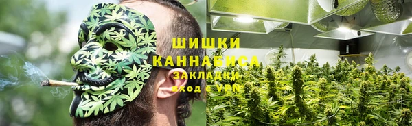 шишки Зеленокумск